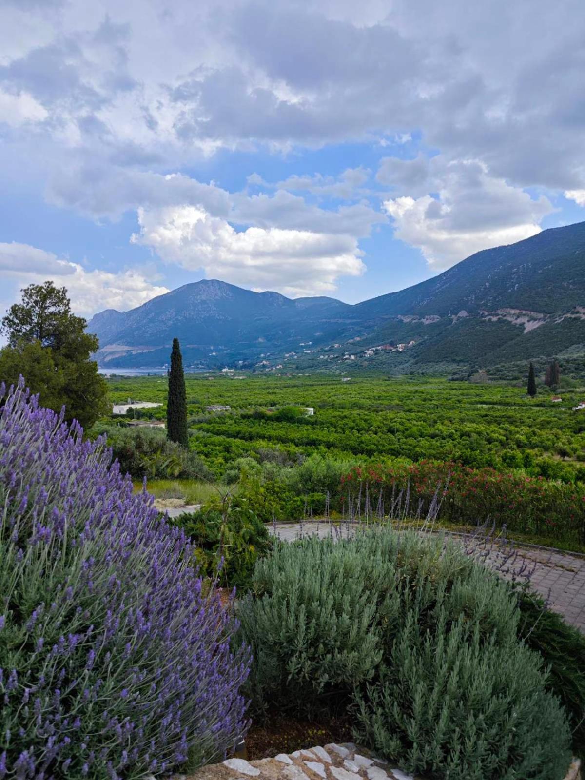 Melissafarm Guest House Epidaurus Екстериор снимка