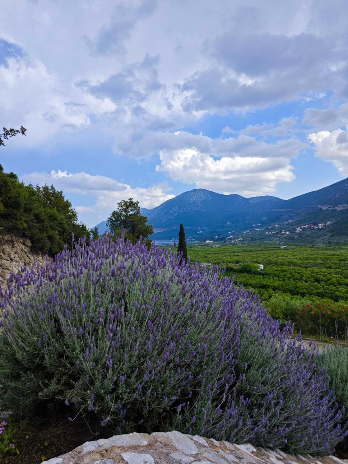 Melissafarm Guest House Epidaurus Екстериор снимка