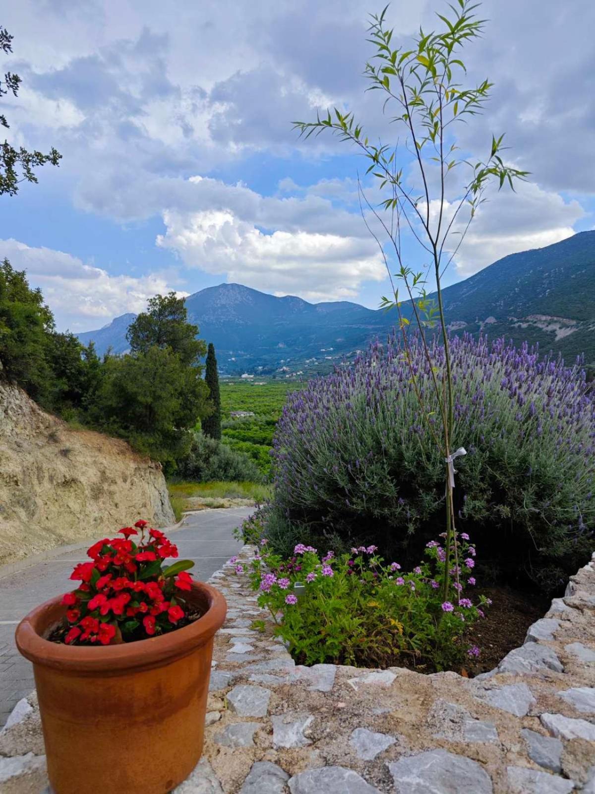 Melissafarm Guest House Epidaurus Екстериор снимка